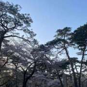 ヒメ日記 2025/04/10 07:47 投稿 いちか 石亭