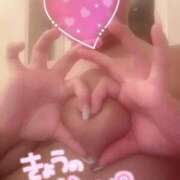 ヒメ日記 2025/10/01 21:36 投稿 かのん 石亭