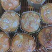 ヒメ日記 2025/03/12 22:35 投稿 まお 石亭