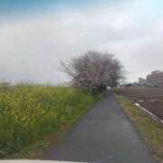 ヒメ日記 2025/04/02 16:52 投稿 まお 石亭