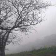 ヒメ日記 2025/04/06 13:09 投稿 まお 石亭