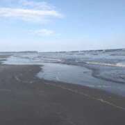 ヒメ日記 2025/08/21 08:22 投稿 まお 石亭