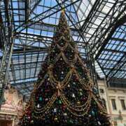 ヒメ日記 2025/12/15 11:37 投稿 秋／あき 五反田アネージュ（ユメオト）