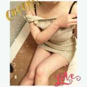 ヒメ日記 2024/12/13 19:34 投稿 衣織 石亭