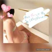 ヒメ日記 2025/02/24 15:05 投稿 衣織 石亭