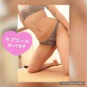 ヒメ日記 2025/05/16 13:41 投稿 衣織 石亭