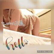 ヒメ日記 2025/05/31 12:20 投稿 衣織 石亭