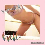 ヒメ日記 2025/06/04 10:27 投稿 衣織 石亭