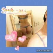 ヒメ日記 2025/06/22 12:36 投稿 衣織 石亭