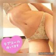 ヒメ日記 2025/09/10 12:46 投稿 衣織 石亭