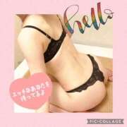 ヒメ日記 2025/09/12 10:51 投稿 衣織 石亭