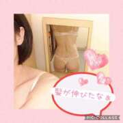 ヒメ日記 2025/10/12 21:18 投稿 衣織 石亭