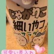 ヒメ日記 2025/10/14 09:39 投稿 衣織 石亭