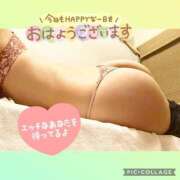 ヒメ日記 2025/11/14 10:40 投稿 衣織 石亭