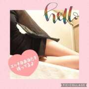 ヒメ日記 2025/11/20 18:28 投稿 衣織 石亭