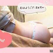 ヒメ日記 2025/11/23 13:12 投稿 衣織 石亭