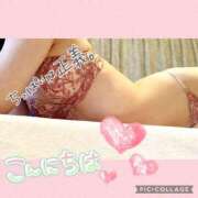 ヒメ日記 2025/12/19 12:00 投稿 衣織 石亭