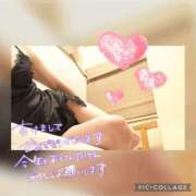 ヒメ日記 2026/01/02 13:18 投稿 衣織 石亭