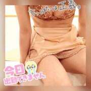 ヒメ日記 2026/01/17 08:07 投稿 衣織 石亭