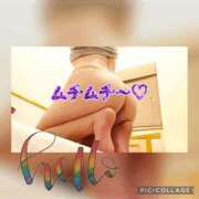 ヒメ日記 2026/03/23 15:30 投稿 衣織 石亭