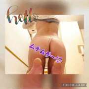 ヒメ日記 2026/03/25 11:18 投稿 衣織 石亭