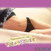 ヒメ日記 2026/07/13 12:36 投稿 衣織 石亭