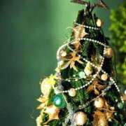 南 しわっす💃🕺 石亭