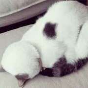 南 ごめんなさい😿 石亭