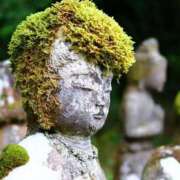 ヒメ日記 2025/01/22 19:45 投稿 葉月 石亭