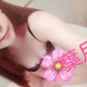 ヒメ日記 2025/03/13 08:44 投稿 葉月 石亭