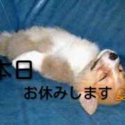 ヒメ日記 2025/03/20 10:30 投稿 葉月 石亭