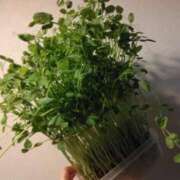 ヒメ日記 2025/03/26 19:39 投稿 葉月 石亭