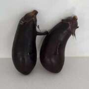 ヒメ日記 2025/06/04 17:01 投稿 葉月 石亭