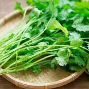 ヒメ日記 2025/06/06 17:02 投稿 葉月 石亭