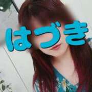 ヒメ日記 2025/06/08 10:43 投稿 葉月 石亭