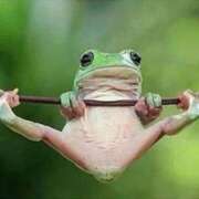 ヒメ日記 2025/06/10 02:08 投稿 葉月 石亭