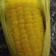 ヒメ日記 2025/06/18 21:12 投稿 葉月 石亭