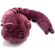 ヒメ日記 2025/08/19 18:45 投稿 葉月 石亭