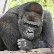 ヒメ日記 2025/09/24 17:33 投稿 葉月 石亭