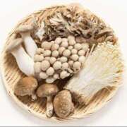 ヒメ日記 2025/09/27 06:33 投稿 葉月 石亭