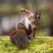 ヒメ日記 2025/10/07 11:29 投稿 葉月 石亭