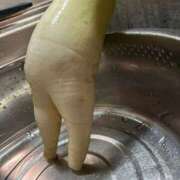 ヒメ日記 2025/11/14 04:45 投稿 葉月 石亭