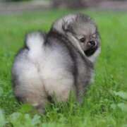 ヒメ日記 2026/01/12 00:16 投稿 葉月 石亭