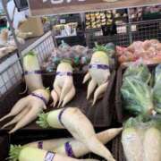 ヒメ日記 2026/01/17 12:30 投稿 葉月 石亭