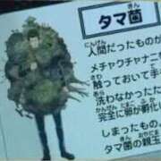 ヒメ日記 2026/02/10 16:36 投稿 葉月 石亭