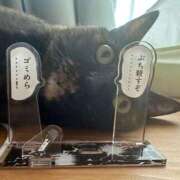 ヒメ日記 2026/03/02 13:51 投稿 葉月 石亭