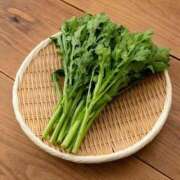 ヒメ日記 2026/03/13 18:04 投稿 葉月 石亭