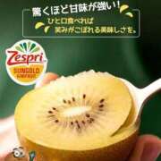 ヒメ日記 2026/03/31 11:45 投稿 葉月 石亭