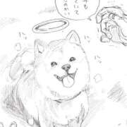 ヒメ日記 2026/05/02 13:45 投稿 葉月 石亭