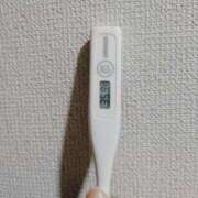 ヒメ日記 2025/04/12 09:18 投稿 志乃(しの) エッチな熟女(広島)